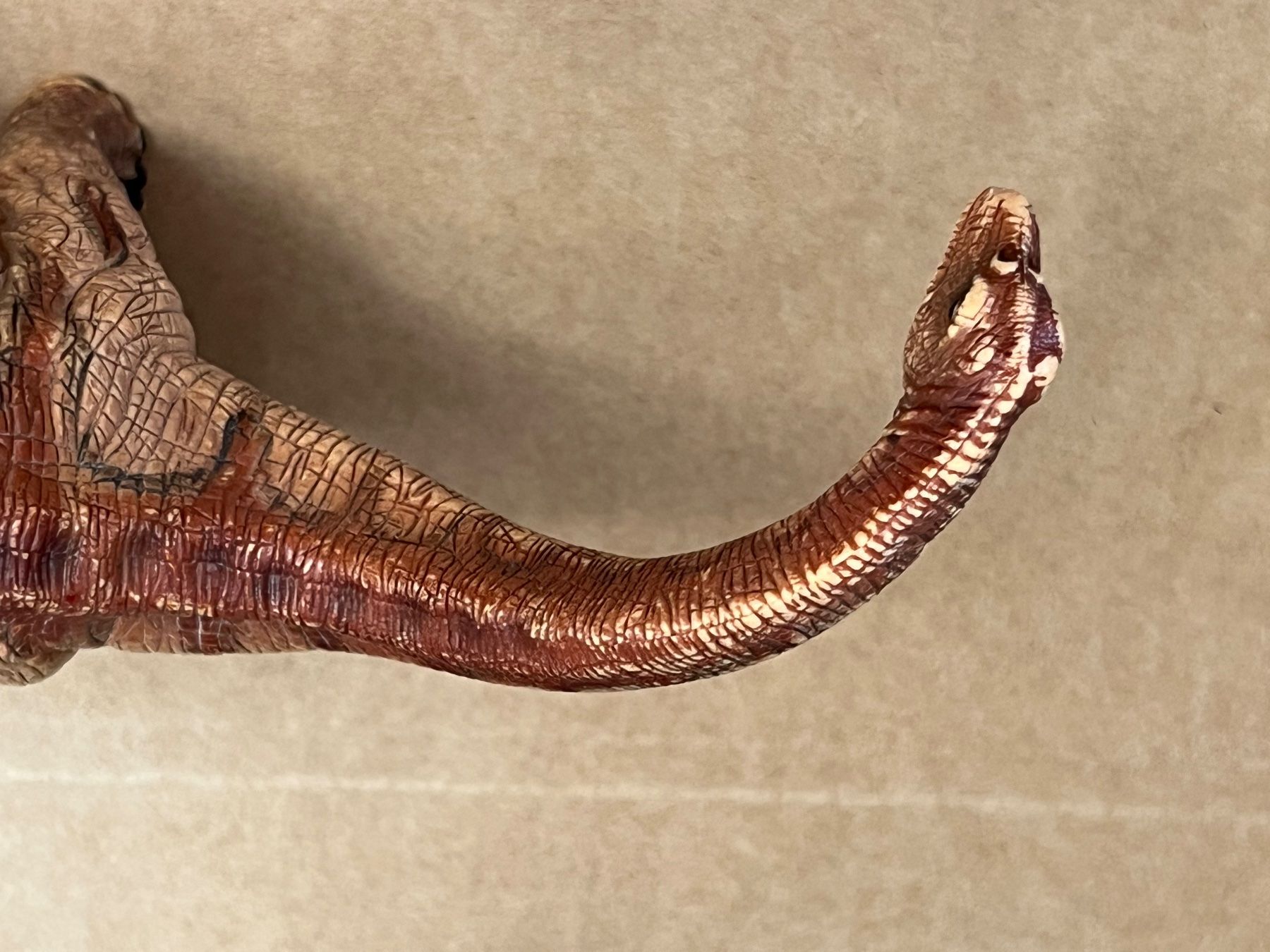 Schleich Statuette: SCHLEICH 14514 Apatosaurus Dinosaurier Dino – Usato da Ennetbaden venduto da mapa05 3