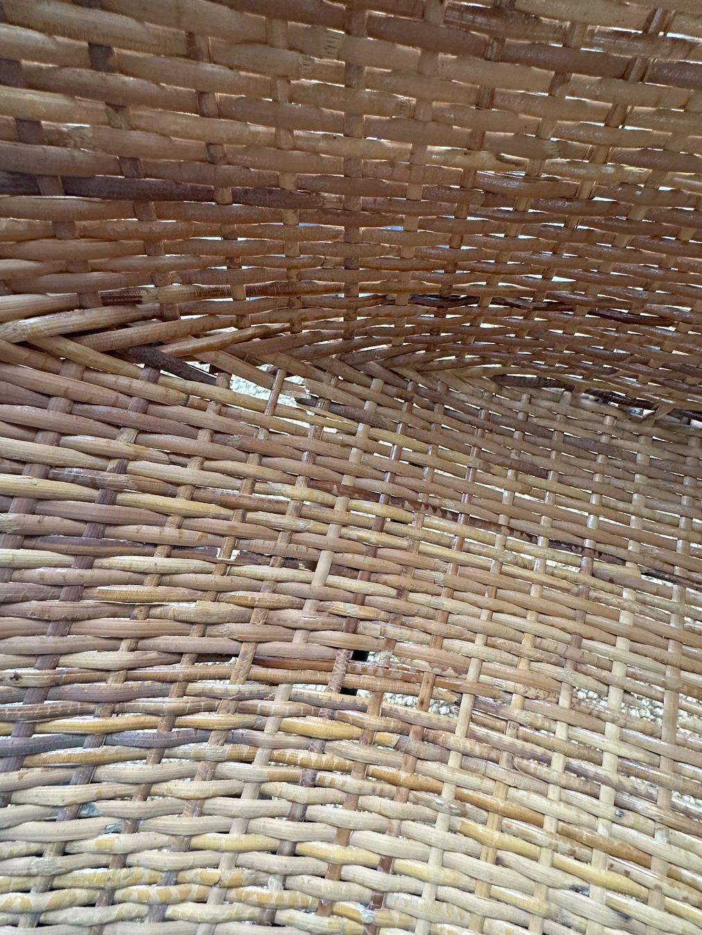 Poltrone: Mid-Century Sessel aus Rattan, 1960er – Usato da Zürich venduto da Knob 8