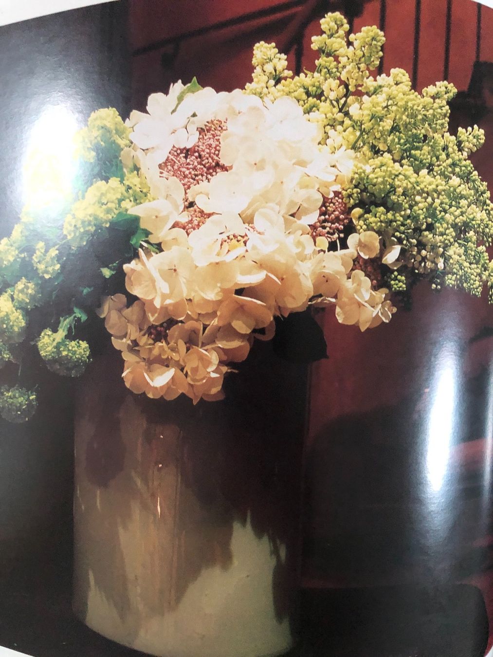 Bücher: Blumenzauber/Fabrikneu – Gebraucht aus Chur von Renibe 6