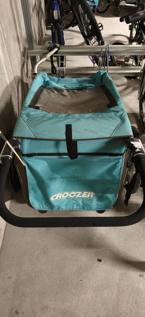 Croozer Rimorchi: Croozer Veloanhänger – Usato da Mönchaltorf venduto da archelefth 1