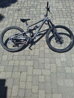 specialaized status 160