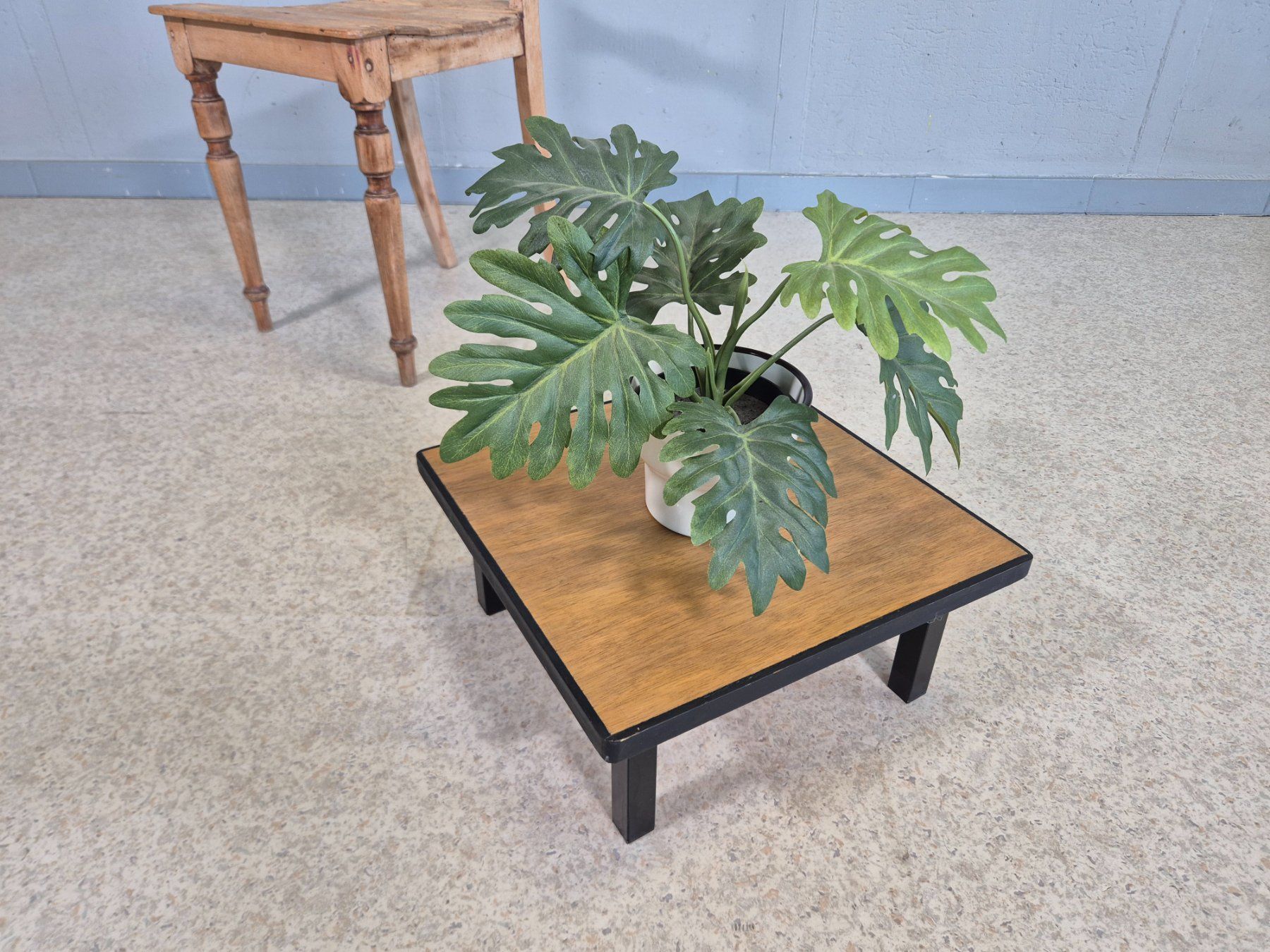 Sgabelli: Flower Stand Blumenhocker Blumentisch Blumen-Höcker – Usato da Nottwil venduto da Wondewa-Shop 1