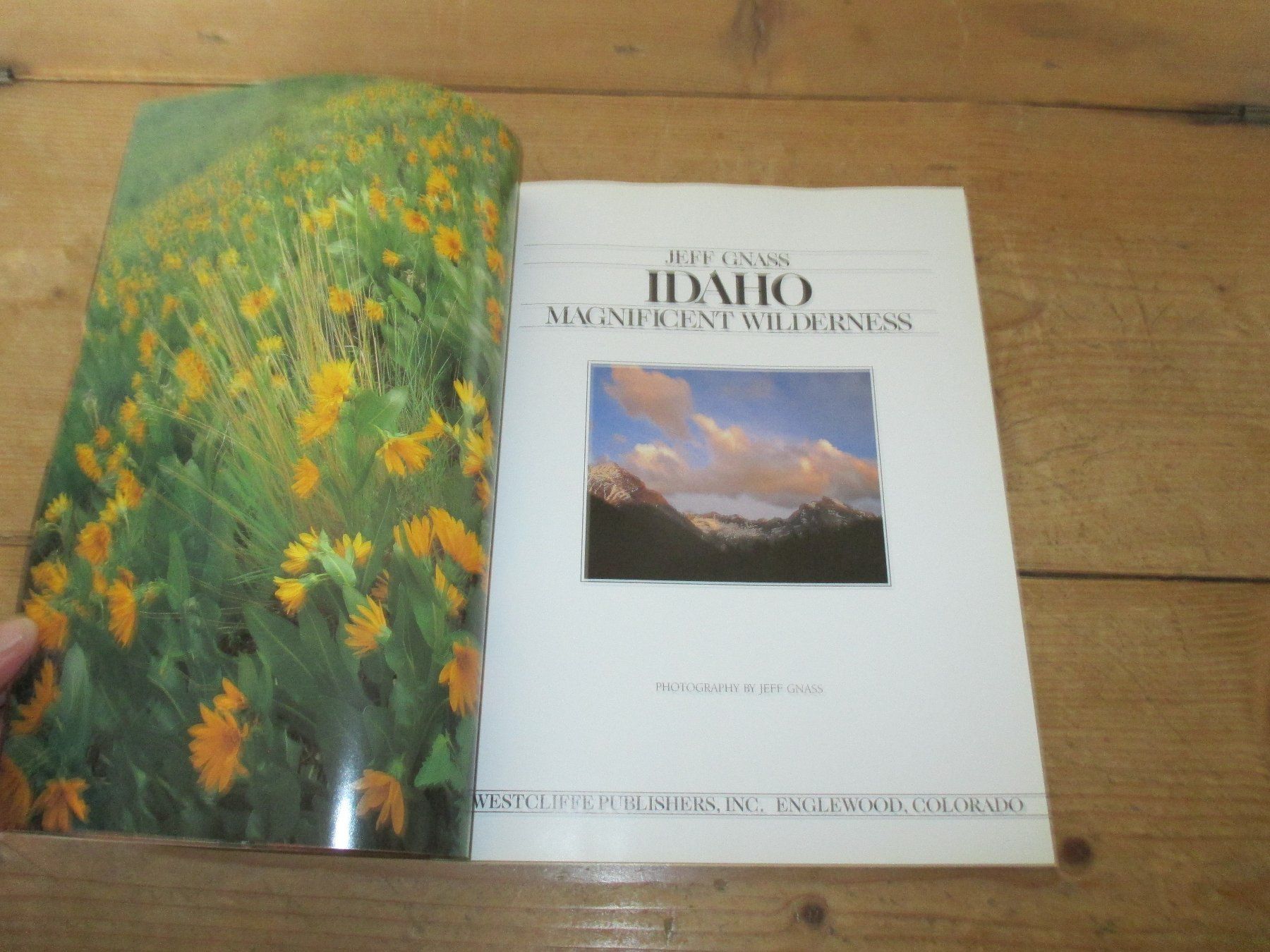Livres: Idaho Magnificent Wilderness, Jeff Gnass – D'occasion à Flims - Dorf par Stagediver 1