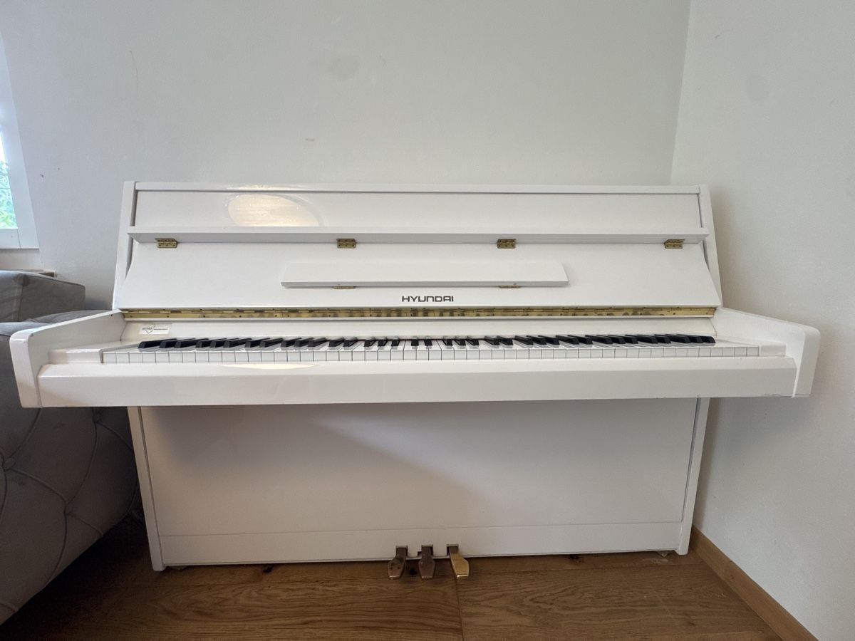 Strumenti musicali: HYUNDAI Klavier – Usato da Untersiggenthal venduto da kaanzurich 1