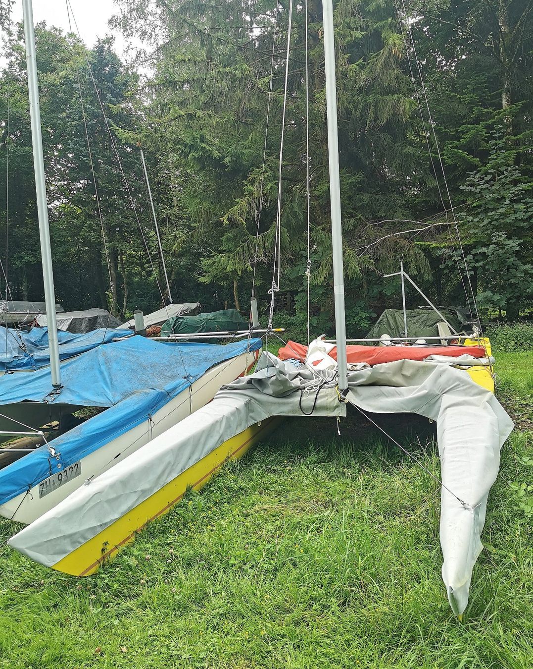 Barche: Katamaran Dart 18 - sofort einsatzbereit – Usato da Pfäffikon SZ venduto da smartswiss17 7