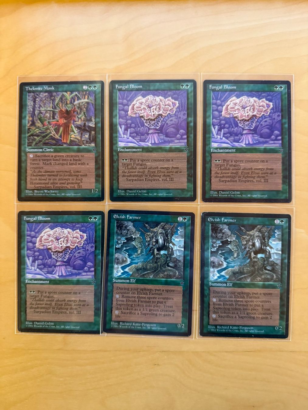 Magic The Gathering Cartes à collectionner: Fallen Empires // Magic The Gathering // MTG – D'occasion à Binz par Tempelritter 5