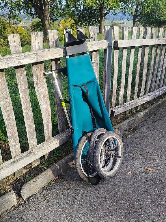 Kinderwagen: Jogging Kinderwagen – Gebraucht aus Gerzensee von jantr 1