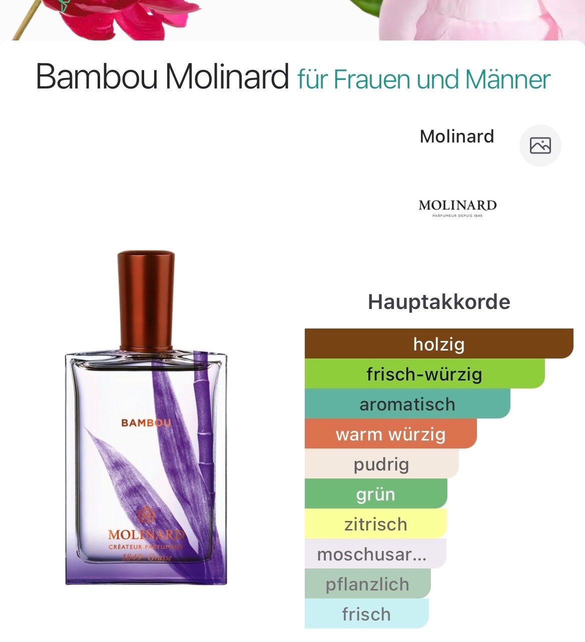 Profumi & Eau de Toilette: Molinard - Bambou - Eau de Parfum 75ml – Usato da Luzern venduto da eli_5xnv 2