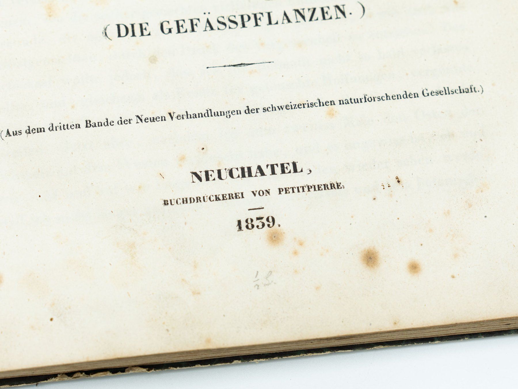 Libri: Antiquarisches Buch "Botanik Graubünden" - 1839 - Ref. 06/25 – Usato da Au ZH venduto da BrockiAu 2