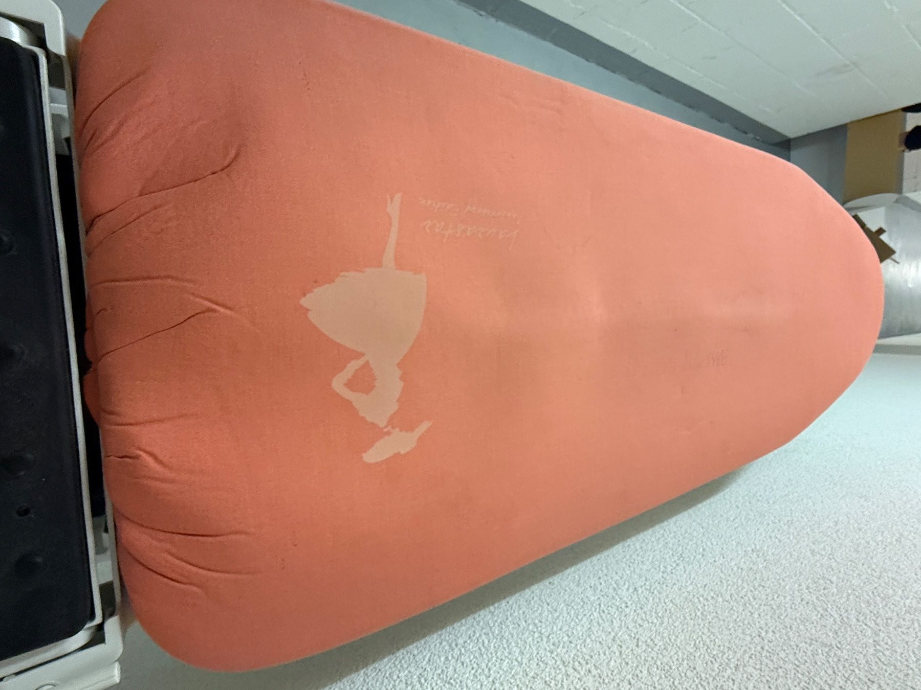 Laurastar Ferri da stiro: Laurastar Pulse – Usato da Zollikofen venduto da fre_nq97 4