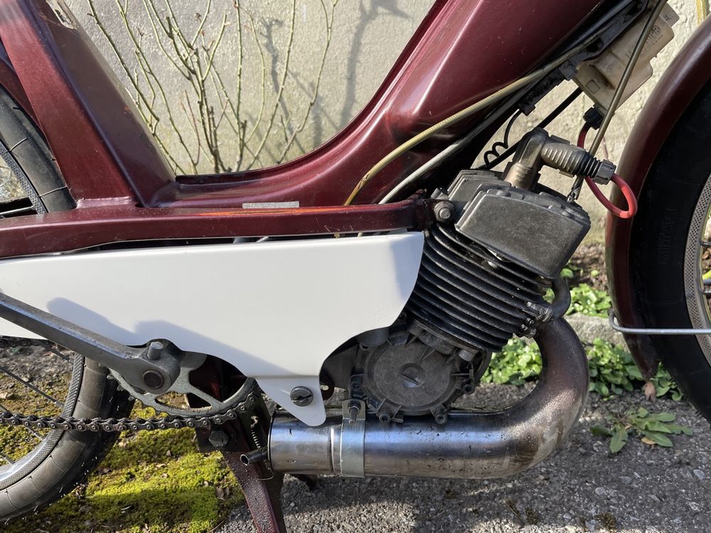 Cinghia Di Trasmissione Per Ciclomotore MBK Motobecane Cady - Misura 762x13.5, Ricambio Nuovo