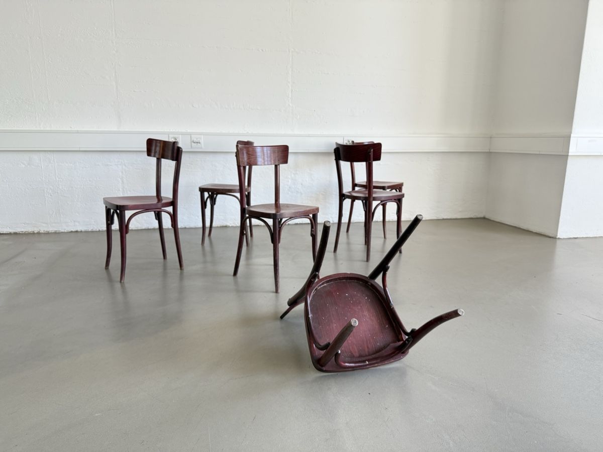 Thonet Sedie: 6 antike Thonet-Stühle, restauriert – Usato da Grenchen venduto da Design-Outlet 2