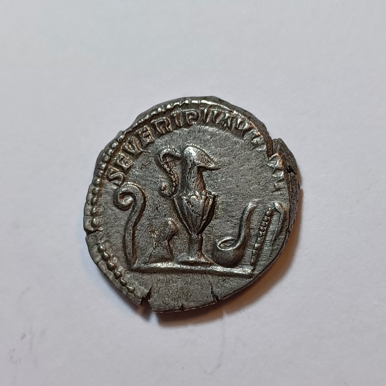 Tutti le monete: Denarius Geta (209-211) Römisches Reich – Usato da Pfäffikon ZH venduto da Welt_Muenzen 1