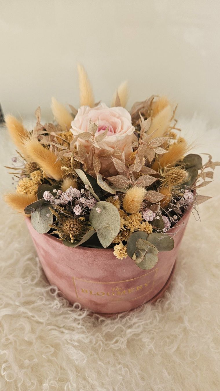 Tutte le decorazioni: Flowerbox Trockenblumen Gesteck Samtbox rosé Boho Style – Usato da Gossau ZH venduto da LeoniesDeko 1