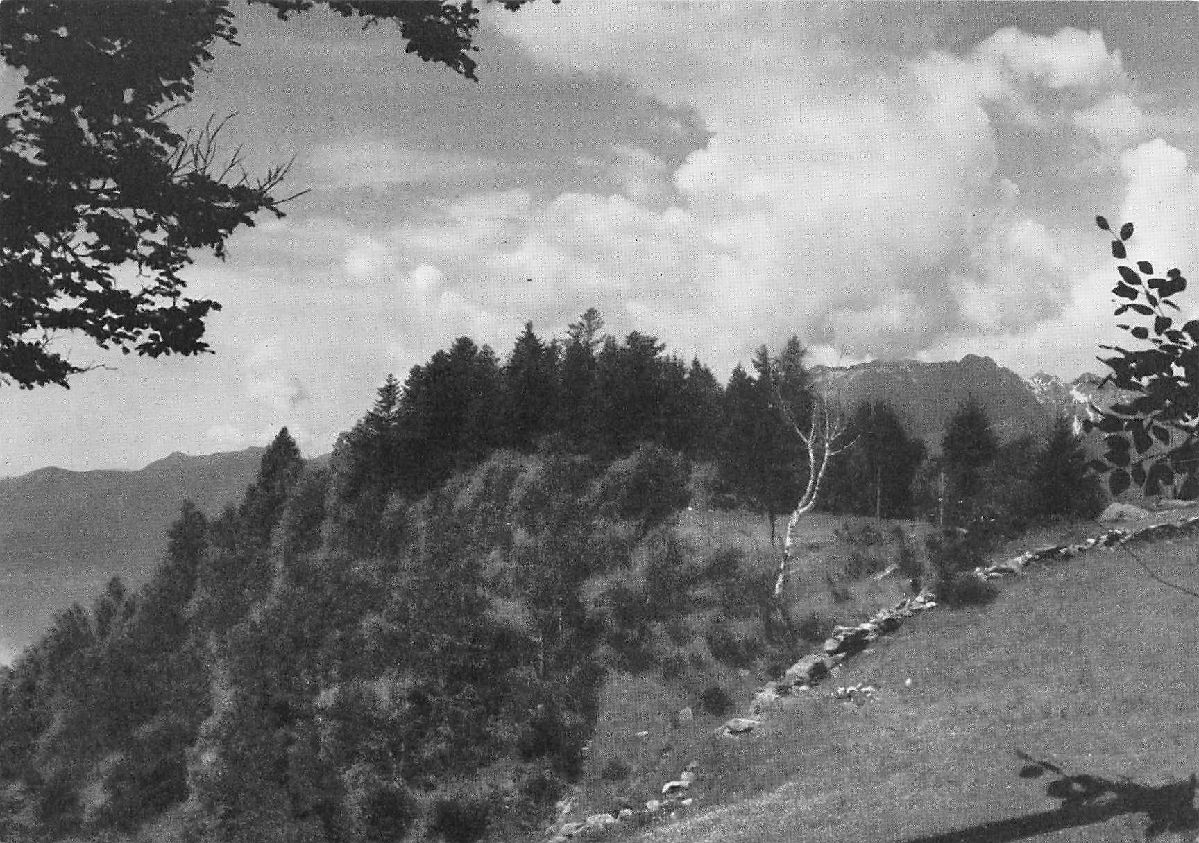 Cartoline postali: Sull`Alpe G – Usato da Biasca venduto da Blenio71