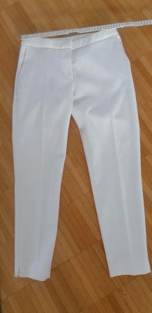 Business Hose