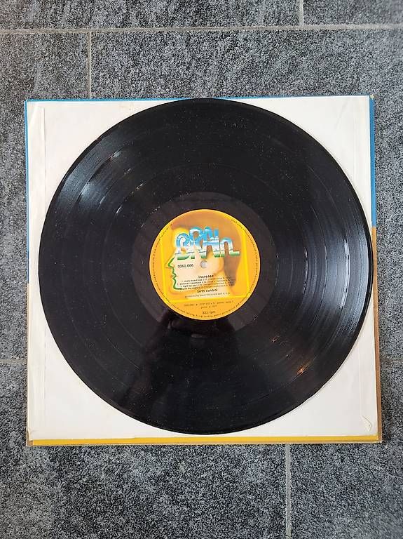 Dischi in vinile: Birth Control Increase LP 1977 Brain Records DE Krautrock – Usato da Buchrain venduto da Nicben187 4