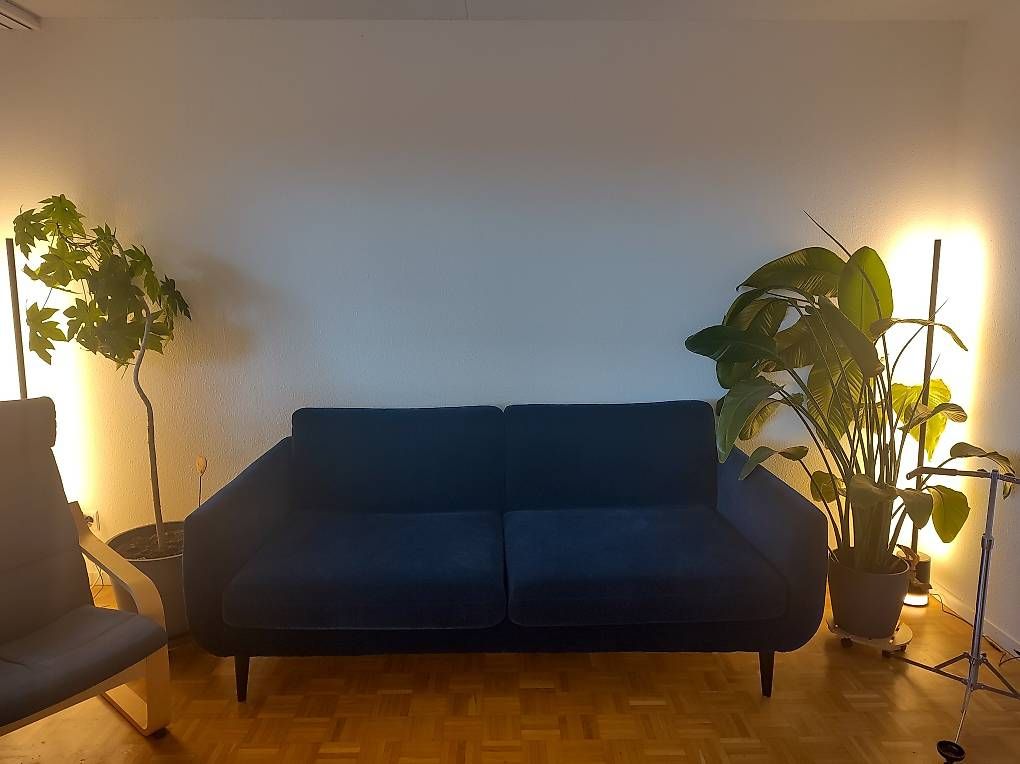 Divani: Sofa - IKEA SMEDSTORP – Usato da Brugg AG venduto da lhubschmid