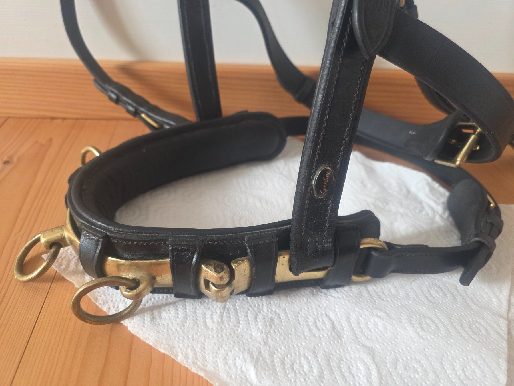 Zaumzeug & Halfter: Kappzaum MONTIVUM Gr. X-Warmblut – Gebraucht aus Enggistein von markaris 3