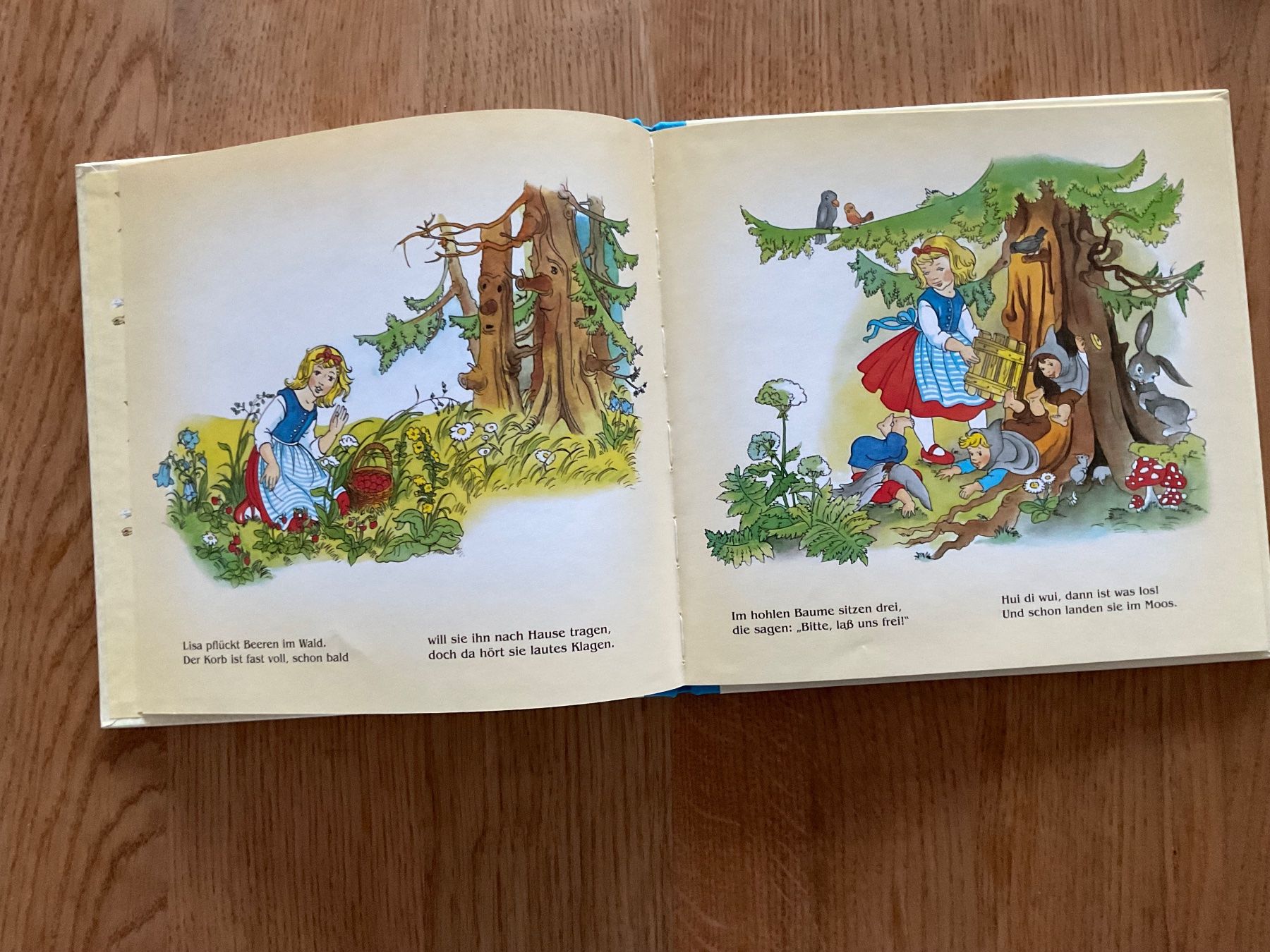 Libri: Die Windmännlein - Julius Breitschopf – Nuovo (secondo la descrizione) da Wetzikon ZH venduto da Libelle01 3