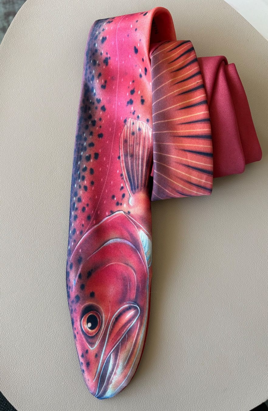 Cravates: Krawatte – D'occasion à Niederbipp par fashionfuchs
