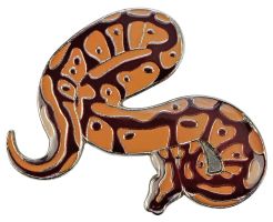 Pin "Python" *Ausverkauf*