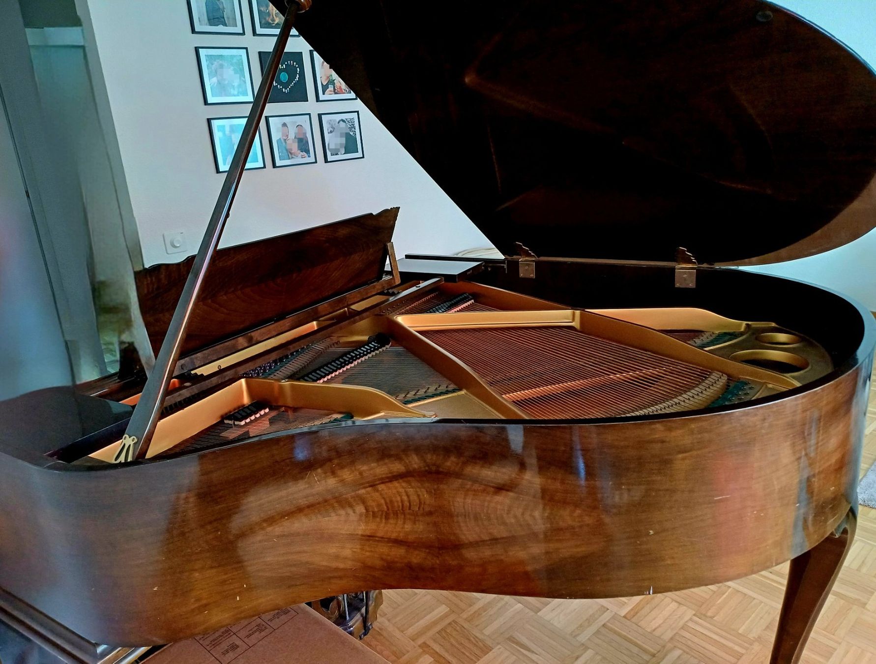 Instruments de musique: Antiker Flügel August Förster – D'occasion à Forch par Alexandraa 2