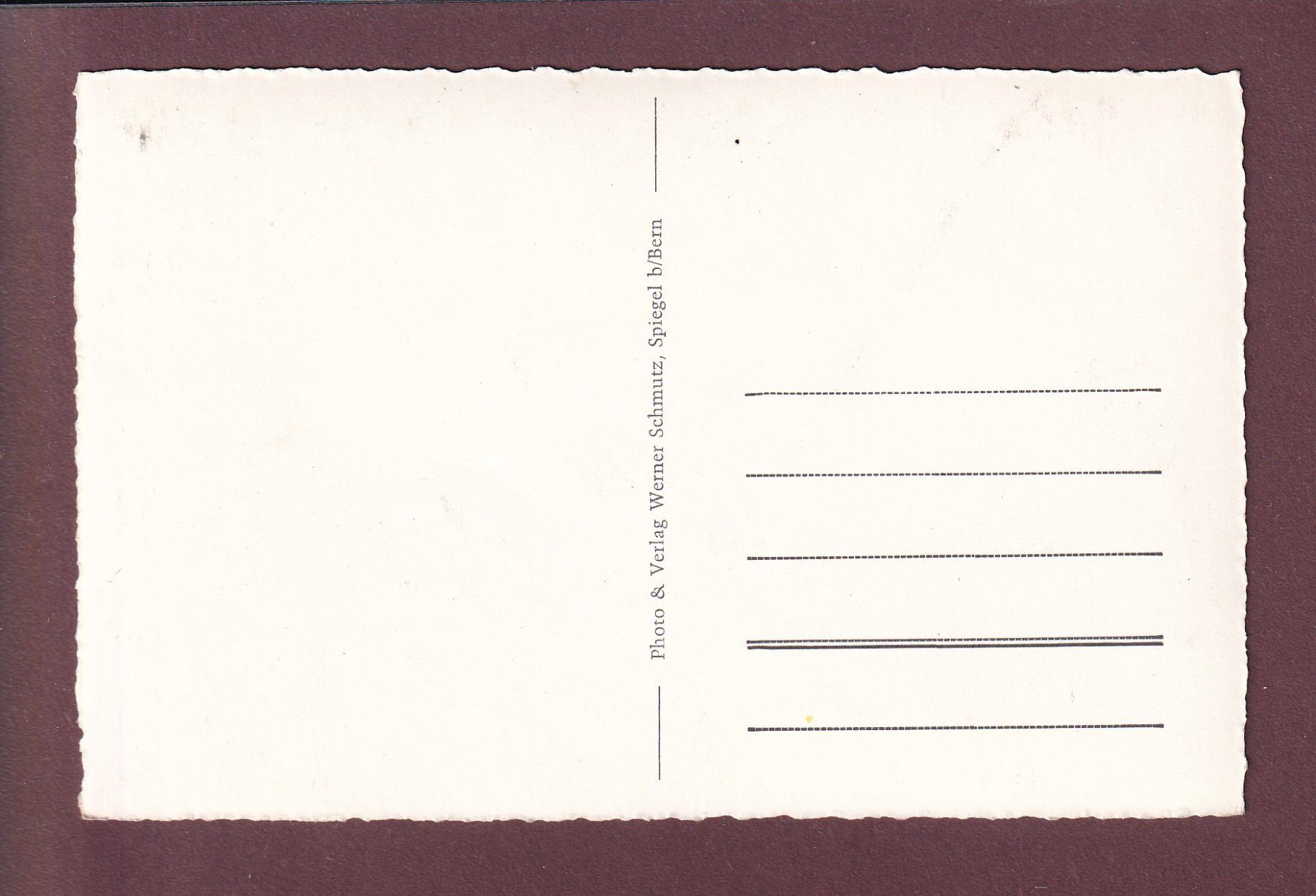 Cartoline postali: BERN - Bärengraben – Usato da Pully venduto da nicecards 1