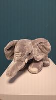 Süsser Kuschelefant sucht neues Zuhause für den Winter!