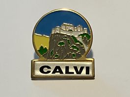 1 Pin Calvi