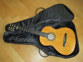 Gitarre GEWA Classica 4/4 Mittenwald Karwendel+Tasche peavey