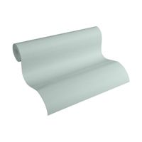 Vliestapete grün 10.05mx53cm (neu, UVP 26.90 Fr.)