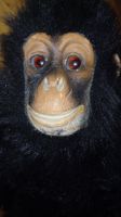 Original Affe Plüschtier 30cm Vintage RAR für Sammler! 🐒
