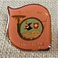 D951 - Pin Parforcehornblaser Berner Ob.