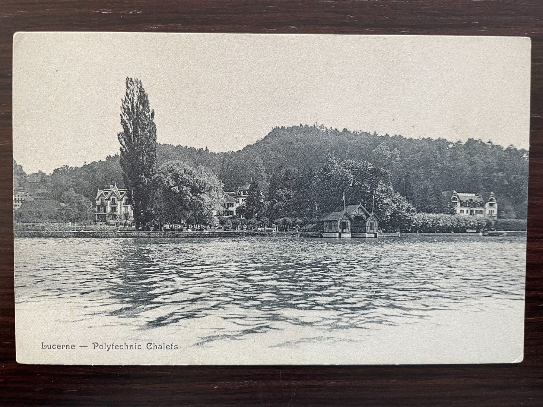 Cartoline postali: LUZERN Seeburg, The Polytechnic Chalets, 5 Ansichtskarten – Usato da Wald ZH venduto da TLILEF 1