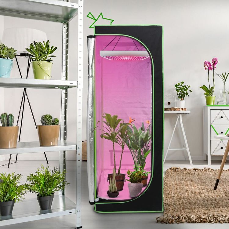 Growbox Gewächshaus 60 x 60 x180 Pflanz… Kaufen auf Ricardo