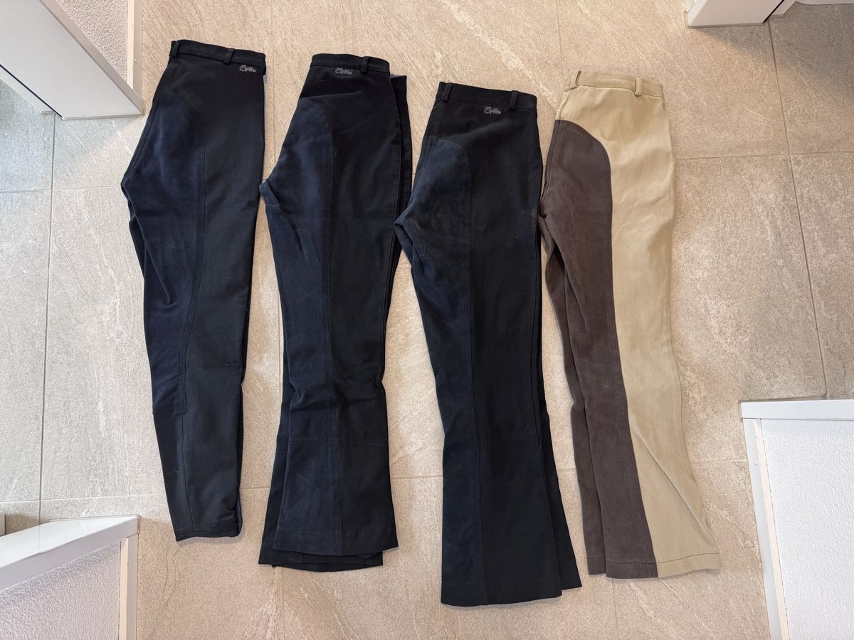 Felix Bühler Pantaloni: Reithose Equilibre Grösse 40/Kurzgrösse 20 – Usato da Mühlau venduto da RotHluchs