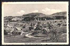 AK Ganterschwil, Ortsansicht, 1927