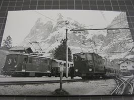 AK Bahnhof Grindelwald mit Zügen