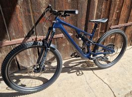 Specialized Stumpjumper EVO Expert Custom 2024 S4