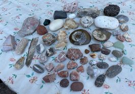 Konvolut schöne Steine - Mineralien - Fossilien
