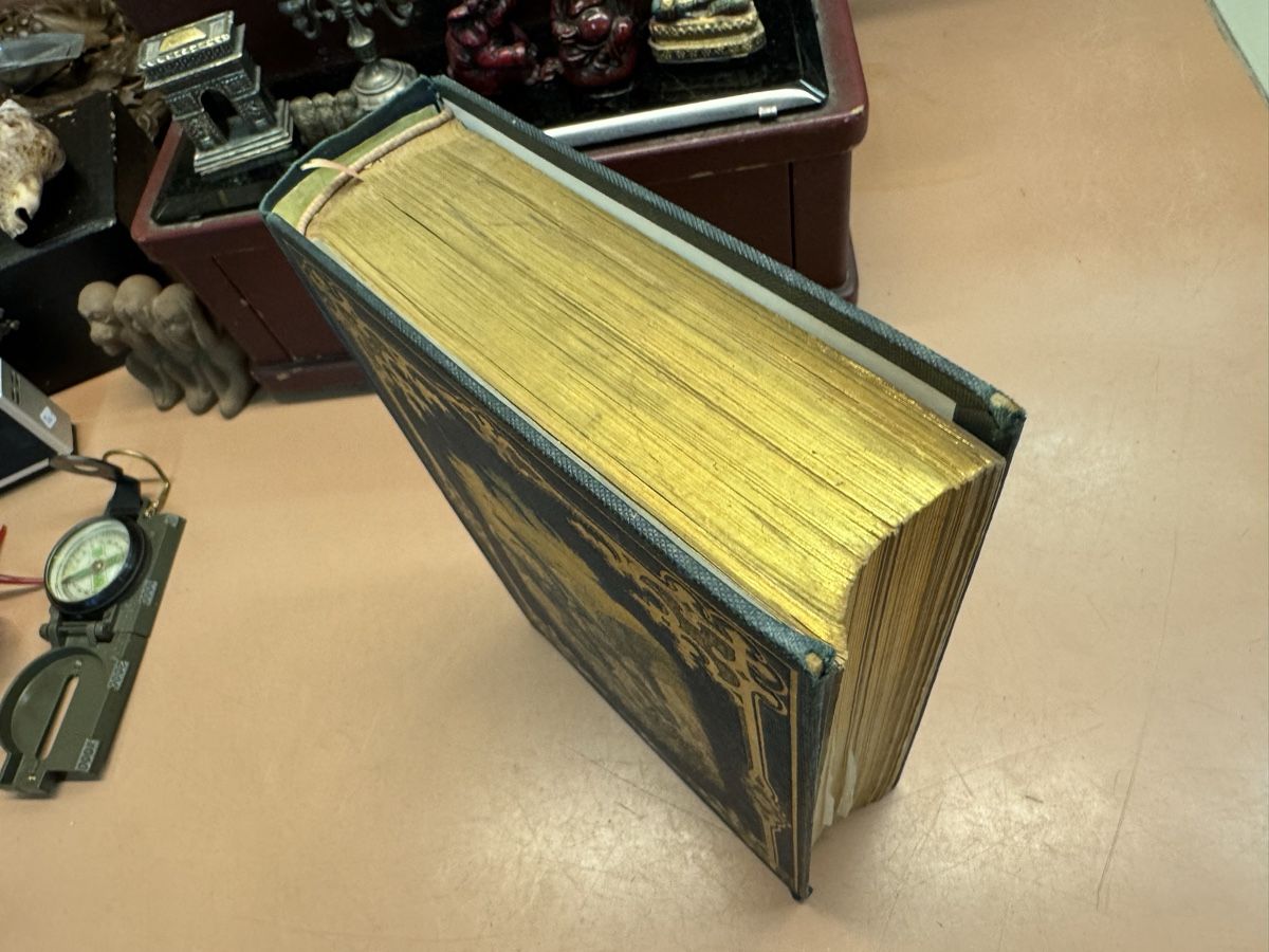 Libri: Buch Das Tierleben der Alpenwelt  1858 – Usato da Chur venduto da Meriva0 2