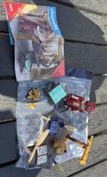 Playmobil History 70604