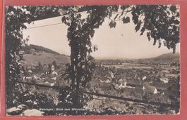 Weiningen - Blick vom Winzerhaus - Fotokarte ca. 1945