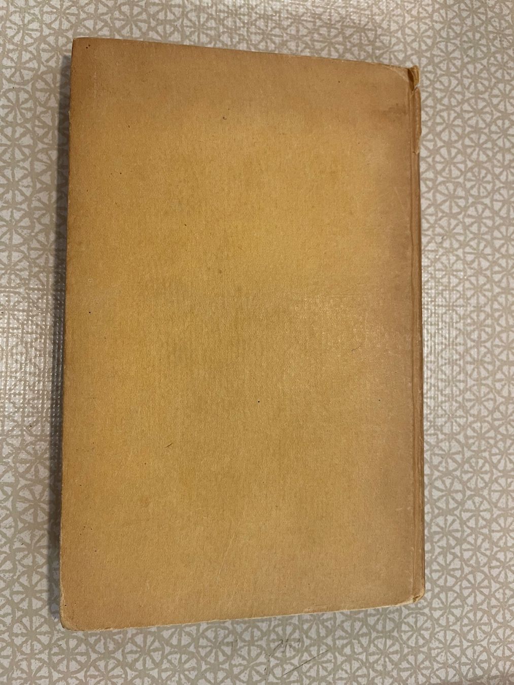 Livres: Buch - Heimatlicht. Gedichte von Leon Danderfee – D'occasion à Urnäsch par pas_5r9c 2