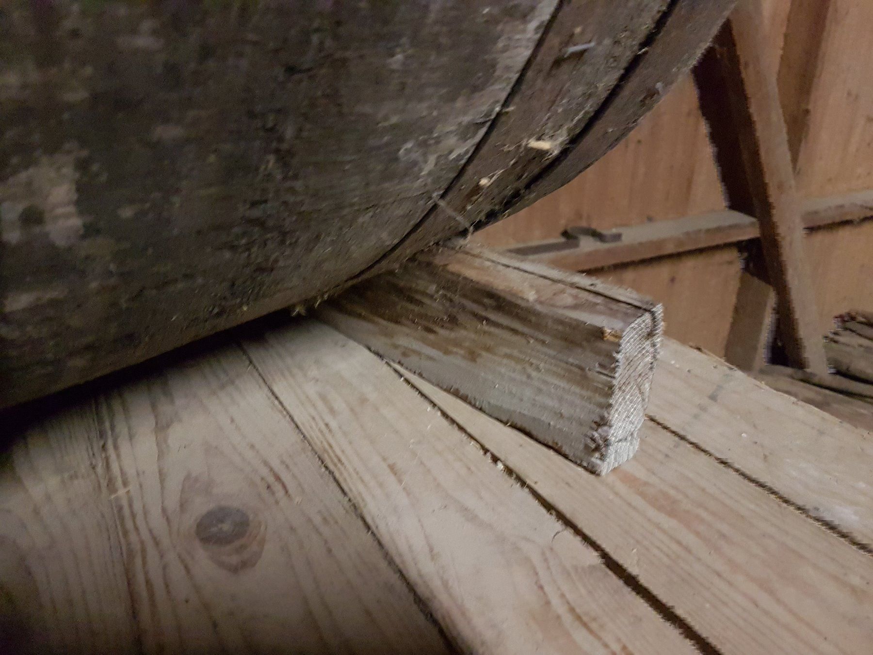 Cucce & Letti: Hundehütte Holzfass – Usato da Dietschwil venduto da FIZENATOR 2