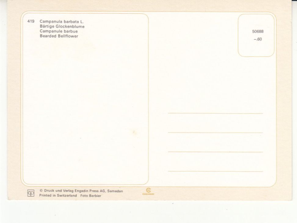 Cartoline postali: Glockenblume, Engadin Press Samedan, ca. 1980 – Usato da Bürglen TG venduto da StampGraf 1