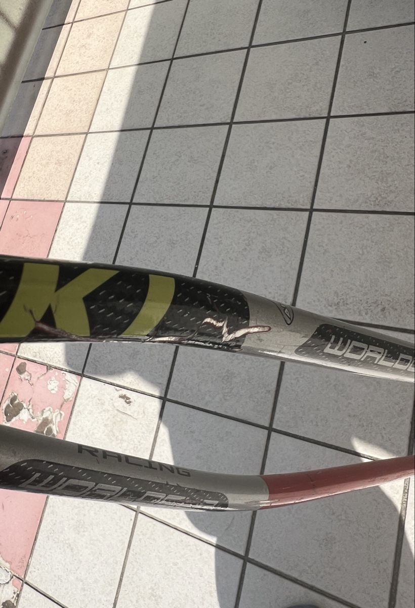 Leki Skistöcke: Leki WC Racing Stöcke – Gebraucht aus Uster von lar_wp5d 3