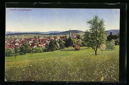 Aadorf, Totale von der Bergwiese aus ges