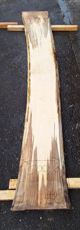 Articles en bois: Nussbaumbrett 50mm – Neuf (Voir description) à Waldkirch par bauprofi87 1
